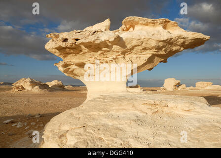 Formation de calcaire en forme de champignon, le Désert Blanc, Farafra Oasis, Désert de Libye, l'Egypte, l'Afrique Banque D'Images