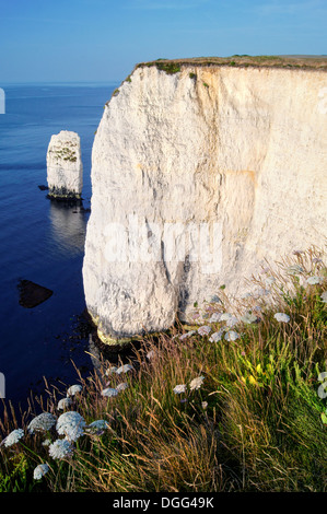Royaume-Uni, Dorset, Swanage, Parsons Barn, les Pinnacles et la baie de Swanage vue depuis le South West Coast Path. Banque D'Images