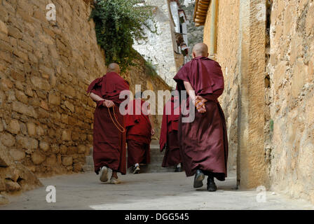 Moines tibétains, Drepung, Lhassa, Tibet, Chine, Asie Banque D'Images