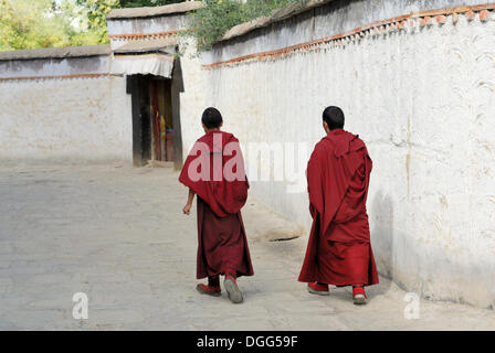 Moines tibétains, Monastère Tashilhunpo, Shigatse, Tibet, Chine, Asie Banque D'Images