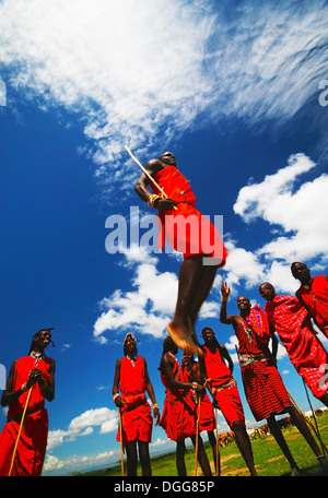 Afrique, Kenya, Masai Mara, le 12 novembre : guerriers Masai traditionnelles comme la danse sauts cérémonie, l'examen de la vie quotidienne Banque D'Images