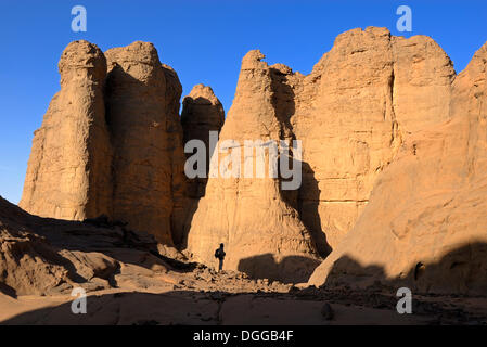 Paysage de désert rocailleux à El Ghessour, Tassili du Hoggar, Tamanrasset, Algérie, Sahara, Afrique du Nord Banque D'Images