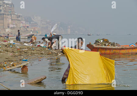 Dhobi walas, peuple de la blanchisserie de la caste, de faire leur travail quotidien dans les ghats de Varanasi le long du fleuve saint Ganges, Inde Banque D'Images