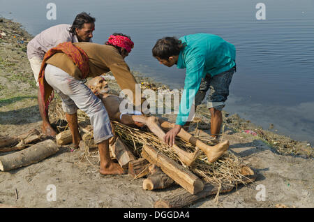 Mettre un corps mort sur le bois de chauffe sur les bords de la rivière Yamuna dans le cadre d'une cérémonie de crémation, Vrindavan, Inde, Asie Banque D'Images