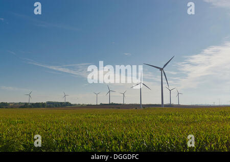 Éoliennes dans le paysage de l'agriculture, Deutschenbora, Saxe Banque D'Images