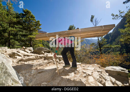 Porter Porter des bois bois d'une voie ascendante, Namche Bazar, district de Solukhumbu, Sagarmāthā Zone, Népal Banque D'Images