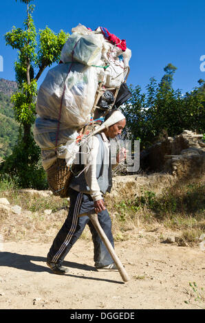 Porter népalais transportant une grande charge de Kinja jusqu'à Lamjura La (3530m), près de l'Khincha, district de Solukhumbu, Zone Sagarmāthā Banque D'Images