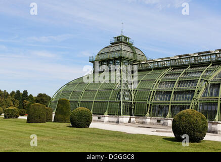 Palm House, Vienne, Autriche, Europe Banque D'Images