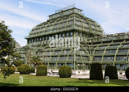 Palm House, Vienne, Autriche, Europe Banque D'Images