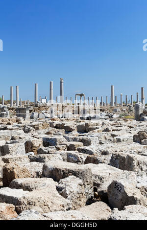 Les ruines et l'avenue de colonnes dans l'Agora, la place de marché dans le site d'excavation dans la ville antique de Pergé, Aksu Banque D'Images