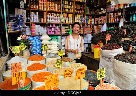 La vente des jeunes les épices et d'autres ingrédients dans son échoppe de marché, marchés urbains de Puebla, Mexique, Amérique Centrale Banque D'Images