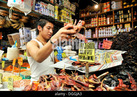 La vente des jeunes les épices et d'autres ingrédients dans son échoppe de marché, à l'emballage des piments, marchés urbains de Puebla, Mexique Banque D'Images