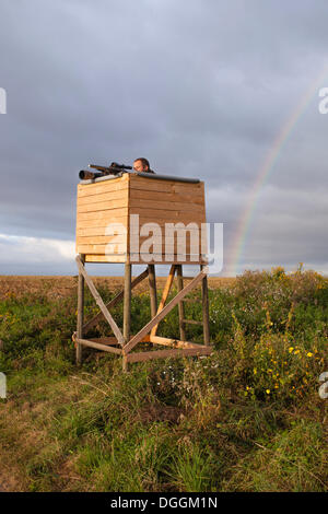 Hunter assis sur un deerstand avec son fusil au poing, Limburg an der Lahn, Hesse Banque D'Images