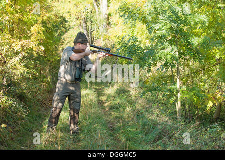 Hunter en attente de jeu avec arme au poing, Offheim, Limburg an der Lahn, Hesse, Allemagne Banque D'Images