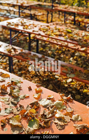 Les feuilles d'automne sur les tables et bancs, Bavière Banque D'Images