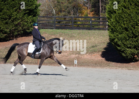 Femme à cheval de dressage au trot étendu dans l'anneau d'entraînement en plein air Banque D'Images