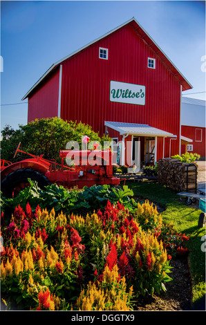 Wiltse's Farm se tiennent près de DeKalb, Illinois, une ville le long de la Lincoln Highway, caractéristiques des produits frais de la ferme. Banque D'Images