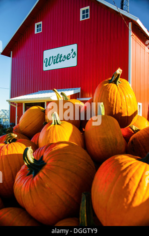 Hamburgers à vendre à Wiltse's Farm Stand près de DeKalb, Illinois, une ville le long de la Lincoln Highway, caractéristiques des produits frais de la ferme. Banque D'Images