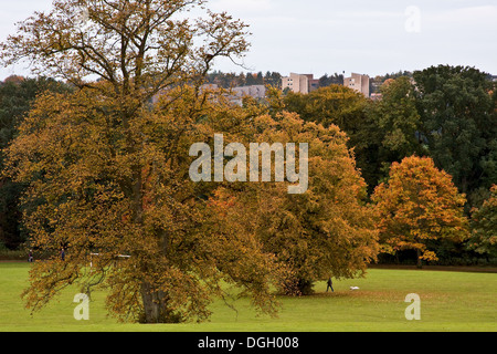 Plusieurs personnes marchant tranquillement à l'intérieur de Camperdown Country Park durant la saison d'automne dans la région de Dundee, Royaume-Uni Banque D'Images