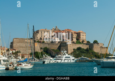 Port de plaisance et de la Citadelle, Calvi, Haute Corse, France Banque D'Images