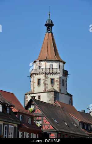 Tour Niggelturm, construit au 16e siècle, Gengenbach, Forêt Noire, Bade-Wurtemberg Banque D'Images