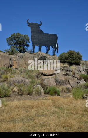 Taureau Osborne, Toro de Osborne, bei Trujillo, Provinz Cáceres, Extremadura, Espagne Banque D'Images