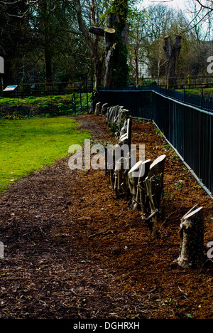 Les souches d'arbre sur champ vert Banque D'Images