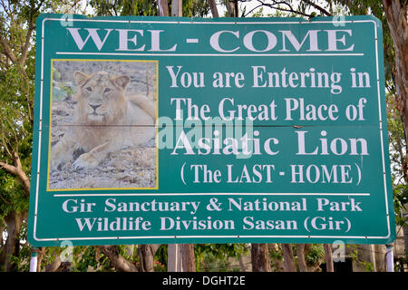 Photo d'un lion asiatique sur un panneau à l'entrée du Parc National de Gir, Gir Forest National Park, Rif Sanctuary Banque D'Images