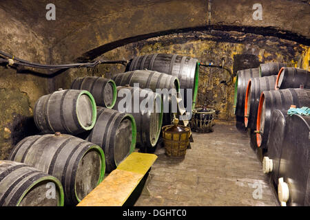 Cave à vin, Rakvice, Breclav district, région de la Moravie du Sud, République Tchèque, Europe Banque D'Images