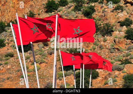 Drapeaux du Maroc, Maroc, Afrique Banque D'Images