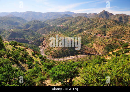 River Valley dans l'Anti-Atlas, collines avec des arbres d'argan (Argania spinosa), Anti-Atlas, région de Souss-Massa-Draâ Banque D'Images
