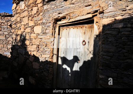 Des murs en pierre naturelle, maison ancienne avec une porte en bois, l'ombre d'un chien à la porte, Tizourgane, Marrakech-tensift-Draâ, Antiatlas Banque D'Images