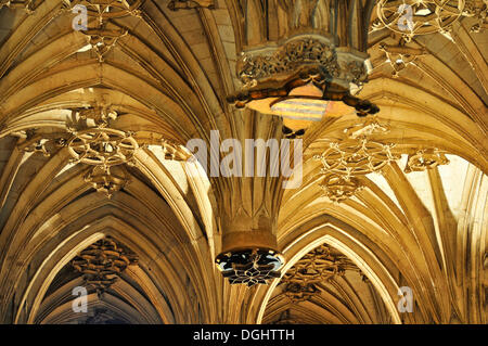 Cathédrale d'Albi, officiellement la Cathédrale de Sainte Cécile, Cathédrale Sainte-Cécile d'Albi, de l'intérieur, Albi, département Tarn Banque D'Images