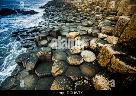 Les roches de basalte, Giant Causeway, Coleraine, en Irlande du Nord, Royaume-Uni, Europe Banque D'Images