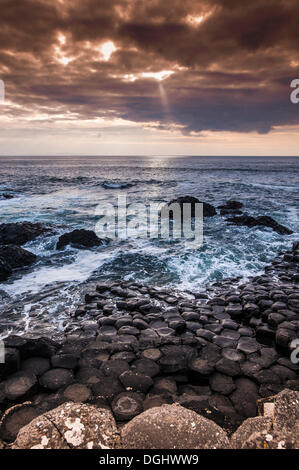 Falaises basaltiques sur la côte atlantique, Giant's Causeway, Coleraine, en Irlande du Nord, Royaume-Uni, Europe Banque D'Images