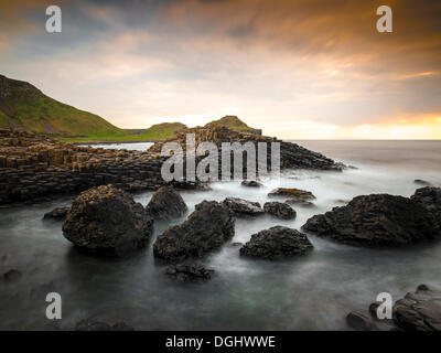 Les roches basaltiques sur la rive avec des vagues, Giant's Causeway, Coleraine, en Irlande du Nord, Royaume-Uni, Europe Banque D'Images