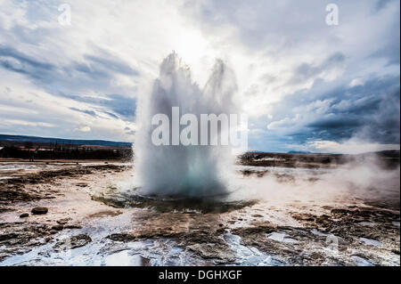 Strokkur, geyser, Sellfoss Sellfoss, Région du Sud, Islande Banque D'Images