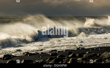 Au Breakers, Reynisdrangar plage noire sur la péninsule de Dyrhólaey, bei Dyrholaey, Vík í Mýrdal, Région du Sud, Islande Banque D'Images