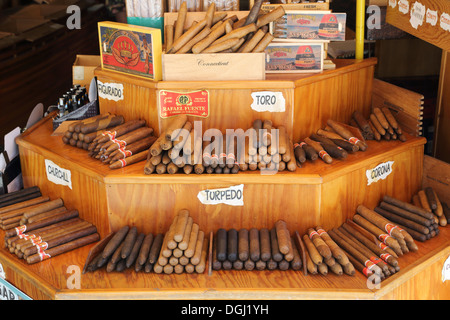 Cigares cubains à Key West à l'extrémité sud de la Florida Keys Banque D'Images
