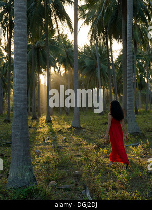 Woman wearing red dress balade en forêt de palmiers Banque D'Images