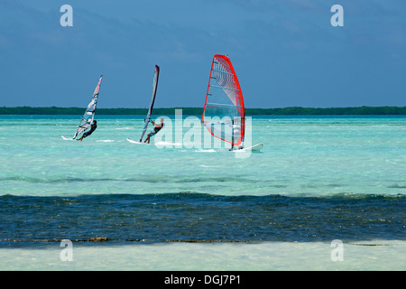 Les véliplanchistes sur le Lac Bay Lagoon. Banque D'Images