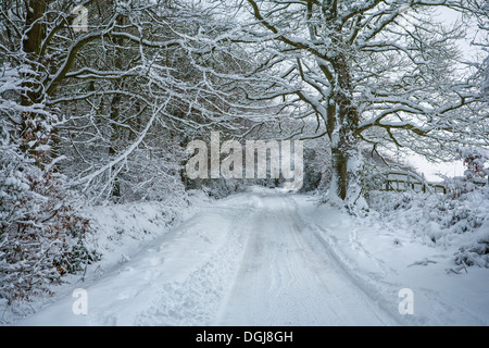 Snow covered rural road. Banque D'Images