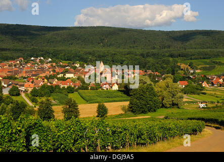 Village viticole d'Orschwihr le long de la Route des Vins d'Alsace et de la Route des Vins d'Alsace, Haut-Rhin, Alsace, France, Europe Banque D'Images