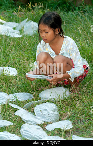 Fille khmère se propager le papier de riz pour rouleaux de printemps pour sécher dans un pré, Battambang, Cambodge, en Asie du Sud-Est, l'Asie Banque D'Images