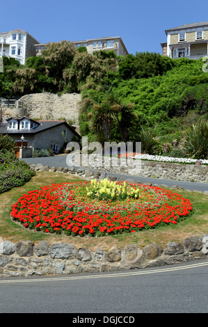 Ventnor Cascade Gardens, Ventnor, Île de Wight, Angleterre, Royaume-Uni, GO. Banque D'Images