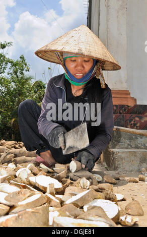 Coupe femme patate douce (Ipomoea batatas), Vietnam, Asie Banque D'Images