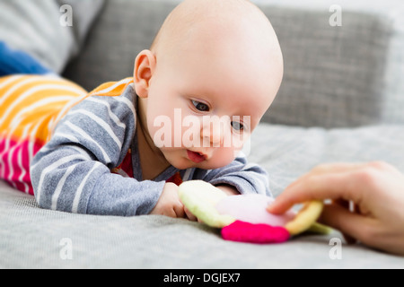 Bébé garçon regardant toy Banque D'Images