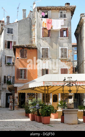 Square dans le centre-ville historique de Rovinj, Croatie, Europe Banque D'Images