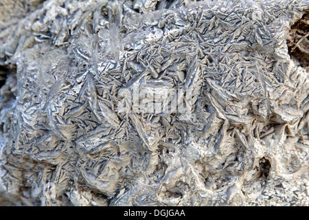 Des cristaux de sel sur le rivage, la Mer Morte, Cisjordanie, Israël, Moyen Orient Banque D'Images