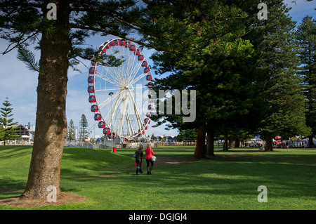 La roue d'observation Skyview dans Fremantle. Banque D'Images